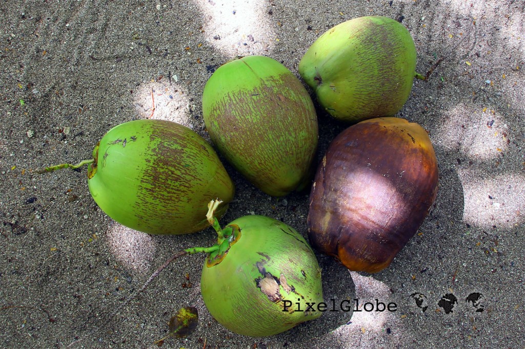Kokosnuesse