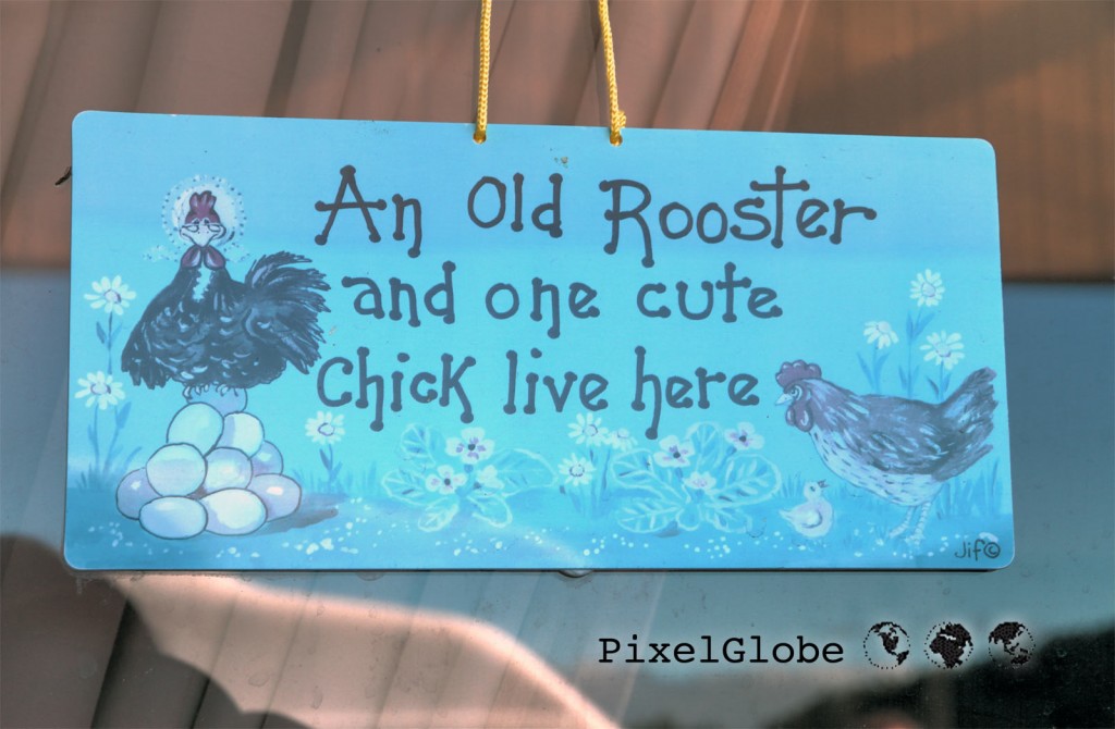 OldRooster